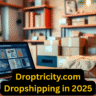 Unlocking Success in E-Commerce: A Comprehensive Guide to dropetricity.com Dropshipping in 2025